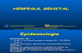 08 Herpesul genital.ppt