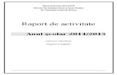 activitatea -raport 2015.doc