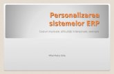 Personalizarea Sistemelor ERP