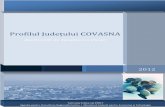 0vy4s_Profil judetul Covasna_actualizat 28.08.2012.pdf