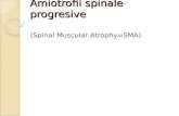 Amiotrofii spinale progresive