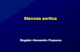 22. Stenoza Aortica
