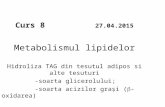 Metabolism Lipidic 2015