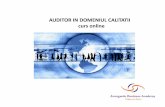 Auditor in Domeniul Calitatii - Curs 3