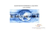 Auditor in Domeniul Calitatii - Curs 11