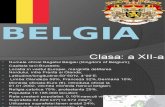 Proiect Geografie-Belgia