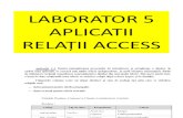 Laborator 5 - Aplicatii Relații Access
