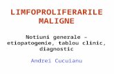 limfoproliferari maligne - conf dr A Cucuianu.ppt