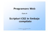 curs03 Scripturi CGI in limbaje.pdf