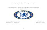 Atestat Engleza Chelsea History