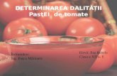 Pasta de tomate ppt final.pptx