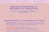 Hematopoeza CA