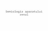 Curs Semiologie Renala 1