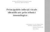 Principalele infecții virale identificate prin tehnici imunologice - Dumitrache Andreea, Parauan Andrada, Morar Iulia.pptx