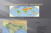 Mediul Tropical Musonic