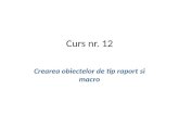 Curs 13 RapoarteMacros2013