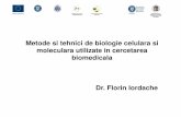 Curs 1 Tehnici Biologie Moleculara
