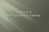 05 2 Habitate in Asezarile Umane
