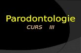 parodontologie CURS 3 2014
