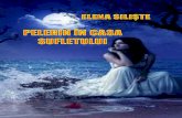 Elena Siliste - Pelerin in Casa Sufletului