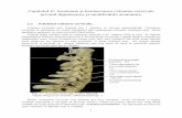 Capitolul 2 Anatomie si biomecanica.pdf