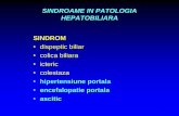 2014-09-29 Gastroenterologie Curs 03