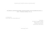 Auditul Proiectului de Modernizare a S.C. Romcarbon S.a.
