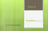 C2 Proteine IPA