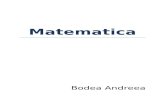 Portofoliu Matematica