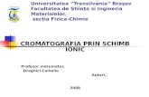 92949421 Cromatografie Prin Schimb Ionic
