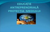 Educatie Antreprenoriala Protectia Mediului