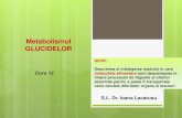 C12 Catabolism Anabolism Glucide IPA