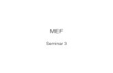MEF_seminar 3.pdf
