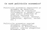 c1. Rolul Politicilor Economice