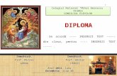 Diploma Craciun