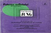 Carl Gustav Jung - Puterea sufletului - 03. Psihologie individuala si sociala.pdf
