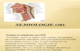 Orl Curs II-III Semiologie Orl
