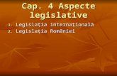 Cap4Aspecte Legislative