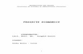 Proiecte economice