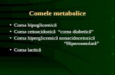 13.Come Metabolice