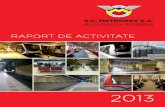 Raport Actvitate2013 Mtx-RO