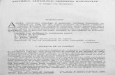 Daicoviciu C.& colaboratorii - Santierul arheologic Gradistea de Munte-1958-(MCA,VII,1961).pdf