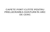 Capete Port-prezentare_sc_ Dantura În Arc