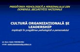 Cultura Organizationala Si Leadership