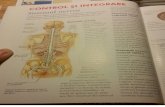 sistemul nervos (1)