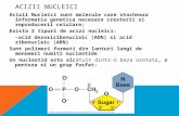 acizii nucleici ppt1