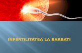 Infertilitatea La Barbati