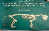Anatomia clinica a cainelui si pisicii.pdf