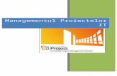 Managementul Proiectelor IT