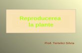 Reproduce Re a Laplante